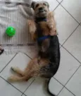 Jhon