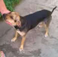 VITÓRIA