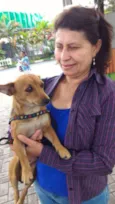 Cachorra