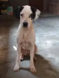 Magali