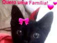 Paty
