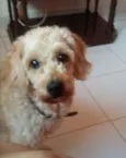 Nick
