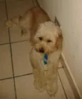 Nick