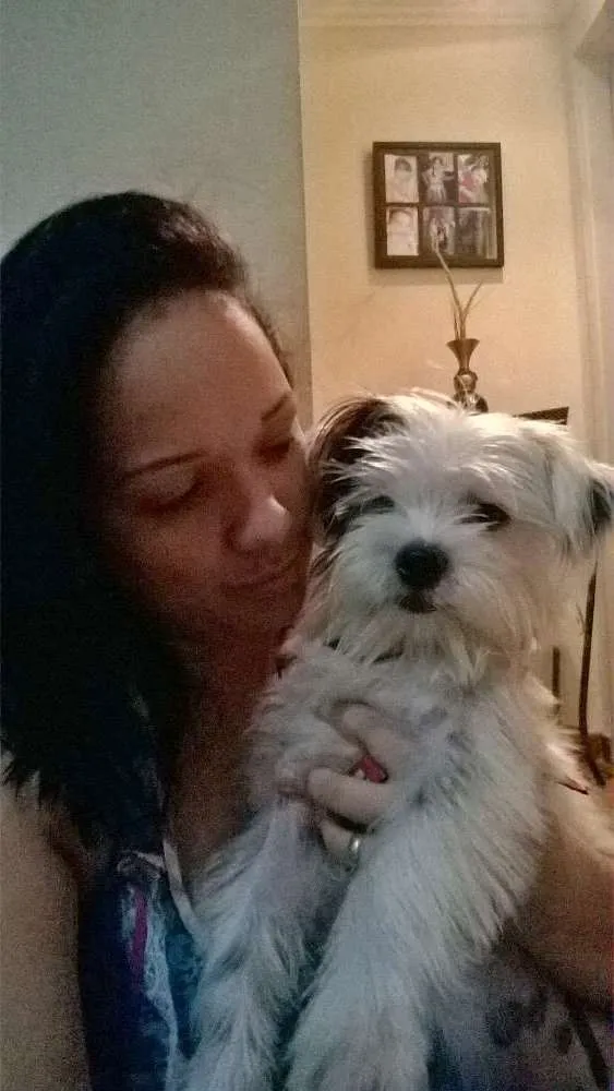 Cachorro raça Srd idade 7 a 11 meses nome Bille