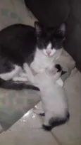 Mia e Vava