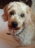 Nick
