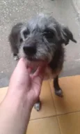 Neguinha e nina
