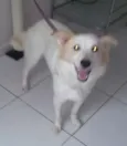 Princesa