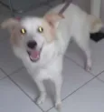 Princesa