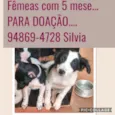 Sem nome