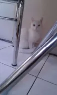 Mily