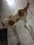 Doug 
