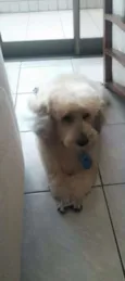 Bobby 