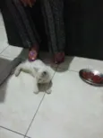 Não tem