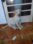 Marley