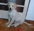 Marley