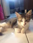 Tom