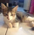 Tom