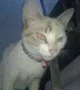 Luisa