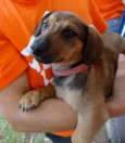 Sophie