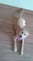 Mel