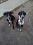 Gaya, Zergh, Freya..