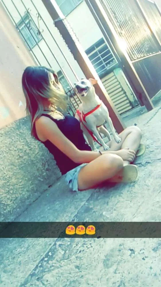 Cachorro ra a Não sei, acho que vira lata com um pouquinho de pinther  idade 4 anos nome Iara