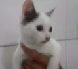 MIMI