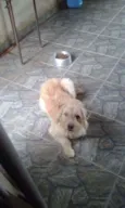 Speaky