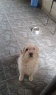 Speaky