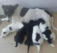 Eles não tem nome