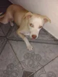 bob