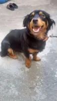 Mili