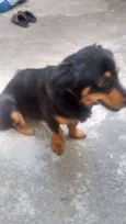 Mili