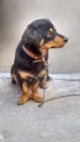 Mili