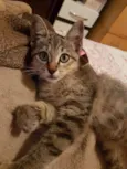 Sophie