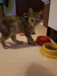 Sophie