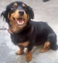 Mili
