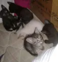 Não tem nomes