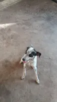 Faísca