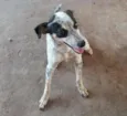 Faísca