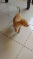 Dora
