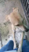 BILLY