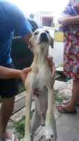BILLY