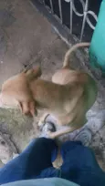 BILLY