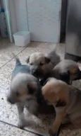 ????