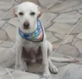 Willy