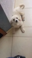 TED
