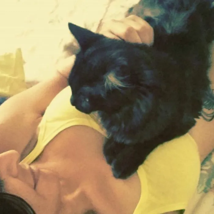 Gato ra a INDEFINIDA idade 2 anos nome FENIX
