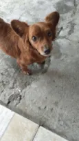 Joao